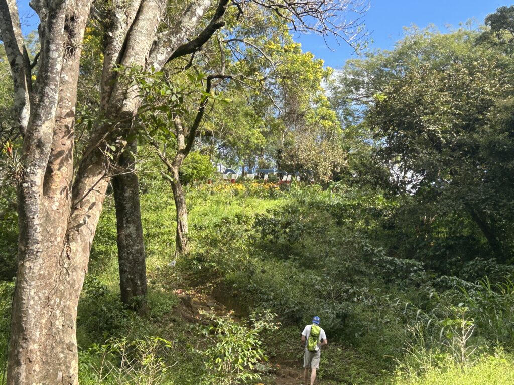 Wanderweg durch die Kaffeeplantagen